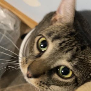 Meet your Posher, Bryce